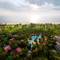 Отель Taj Exotica Goa