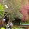 Отель Uday Samudra Leisure Beach Hotel & Spa