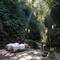 Отель Nandini Jungle by Hanging Gardens