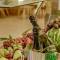 Отель Antares Hotel