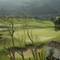 Отель The Westin CampoReal Golf Resort & Spa