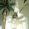 Отель Tulip Inn Carthage Tunis