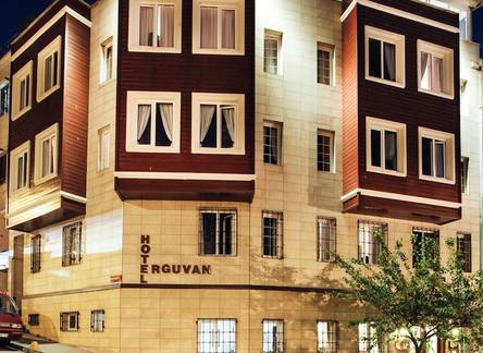 Отель Erguvan