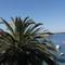 Отель Villa Dalmacija Hotel Hvar