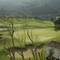Отель The Westin Camporeal Golf Resort&Spa