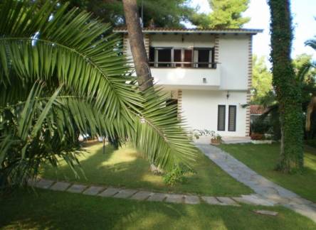 Отель Muses Villas Resort