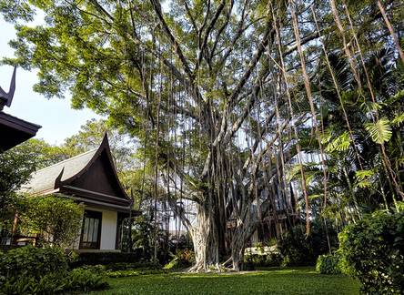 Отель Chiva-Som Resort Hua Hin