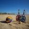 Отель Royal Brayka Beach Resort