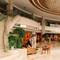 Отель Jin Jiang Pine City Hotel