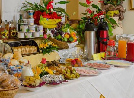 Отель Sylesia Hotel