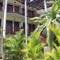 Отель Tropicana Guesthouse