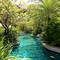 Отель Kata Palm Resort & Spa