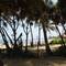 Отель Ranveli Beach Resort