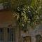 Отель Endless Suites Taksim