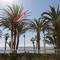 Отель Mare Nostrum Cleopatra Palace