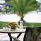 Отель Porto Bello Royal