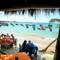 Отель Mamas Coral Beach Hotel