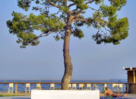 Отель Kinetta Beach