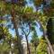 Отель Riu Velaris Turist Resort