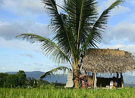 Отель Sanak Retreat Bali, Munduk /Buleleng