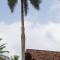 Отель Porto Santo Hotel