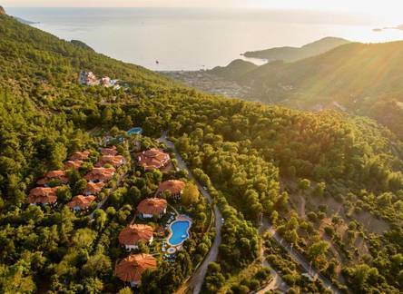 Отель Montana Pine Resort Hotel & Spa
