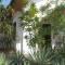 Отель The Tandem Guesthouse, Hikkaduwa