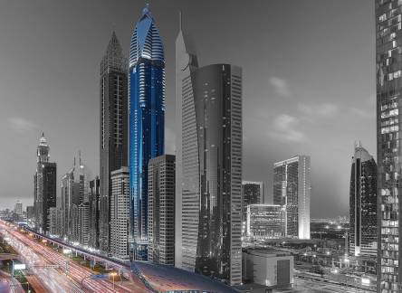 Отель Rose Rayhaan By Rotana