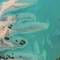Отель Desert Islands Resort & Spa By Anantara