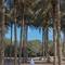 Отель Desert Islands Resort & Spa By Anantara