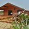 Отель The Fern Beira Mar Resort