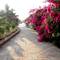 Отель The Fern Beira Mar Resort