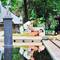 Отель Cinnamon Lodge Habarana