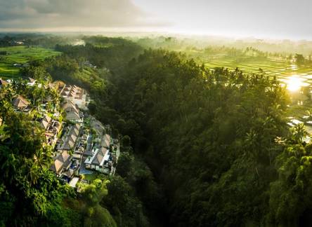 Отель The Viceroy Bali