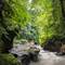 Отель The Lokha Ubud Resort, Villas & Spa