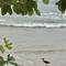 Отель Beachfront Phuket