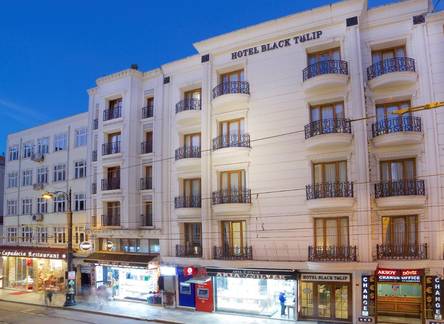 Отель Black Tulip Hotel