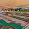 Отель Pickalbatros Aqua Blu Resort Sharm El Sheikh