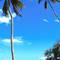 Отель Menai Bay Beach Bungalows