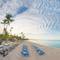 Отель Catalonia Bayahibe