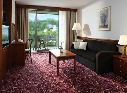 Отель Hotel Park
