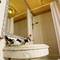Отель Paradise Inn Le Metropole