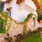 Отель Oludeniz Beach Resort By Z Hotels