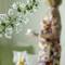 Отель Atrium Prestige Thalasso Spa Resort & Villas