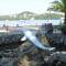 Отель Molfetta Beach Hotel
