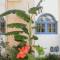 Отель Sirena Apartments