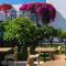 Отель Malia Holidays Hotel