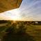 Отель Eco-hotel Noviy Kovcheg
