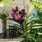 Отель Coral Palm Villa and Apartment