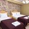Отель Hotel New Metekhi